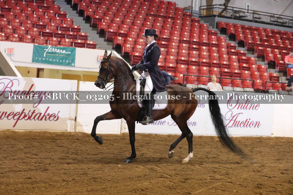 Proof 18BUCK_03205