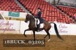 18BUCK_03205 proof