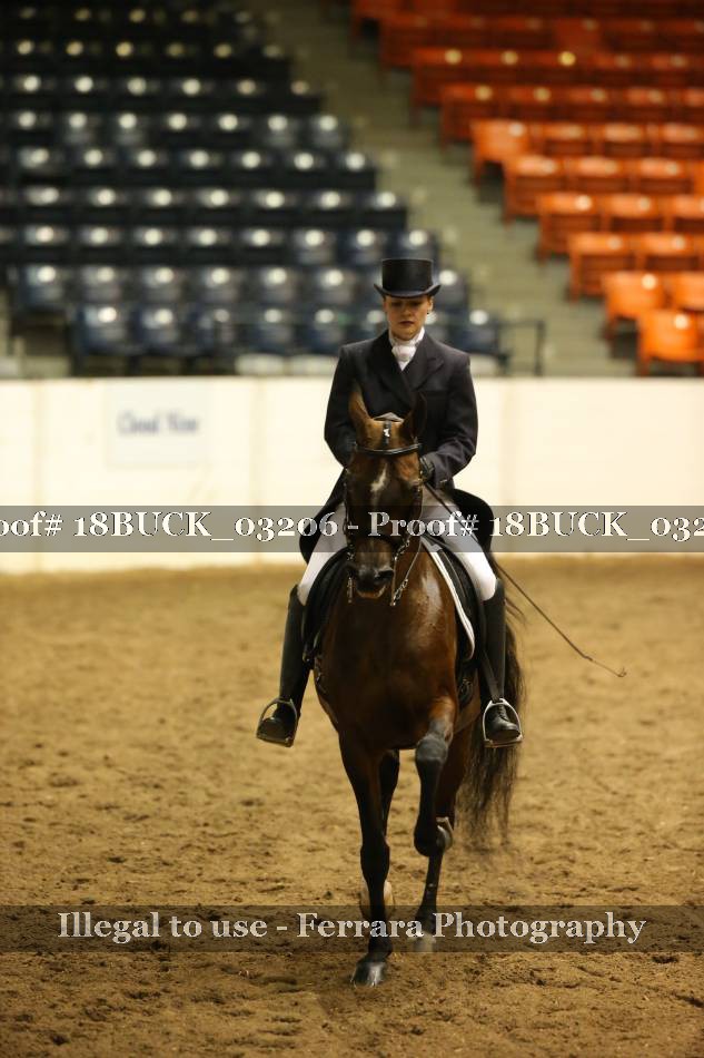 Proof 18BUCK_03206