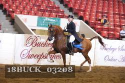 18BUCK_03208 proof