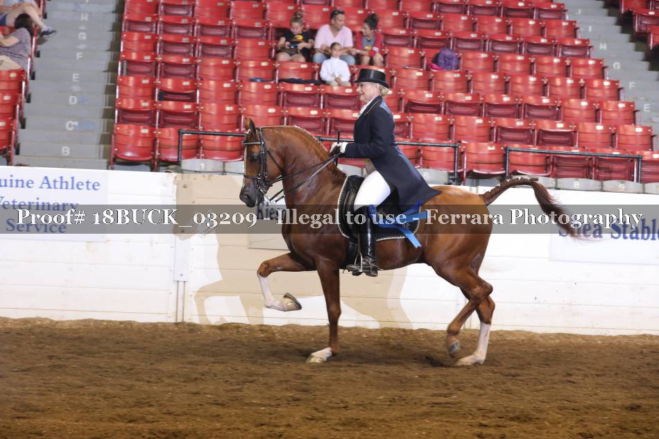 Proof 18BUCK_03209