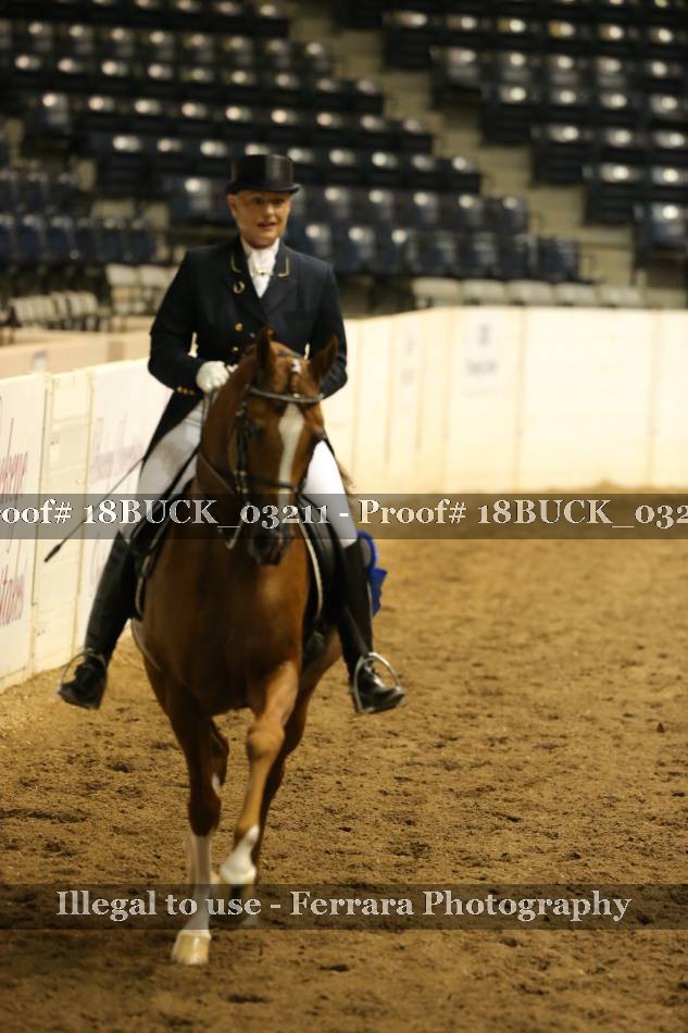 Proof 18BUCK_03211