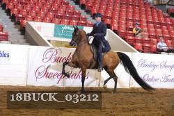 18BUCK_03212 proof