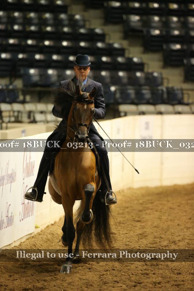 Proof 18BUCK_03213