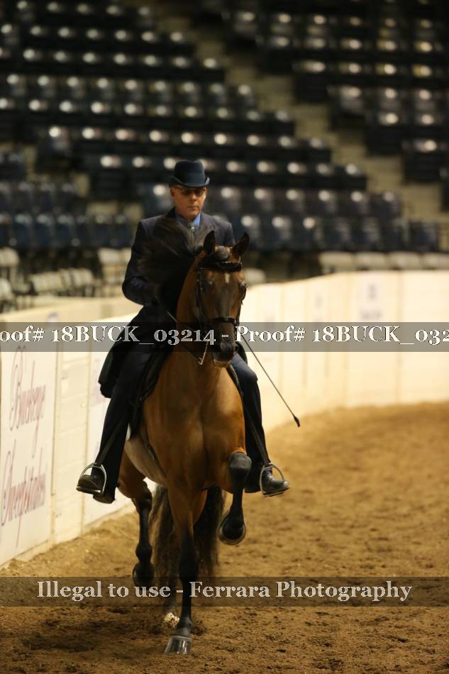 Proof 18BUCK_03214