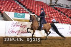 18BUCK_03215 proof