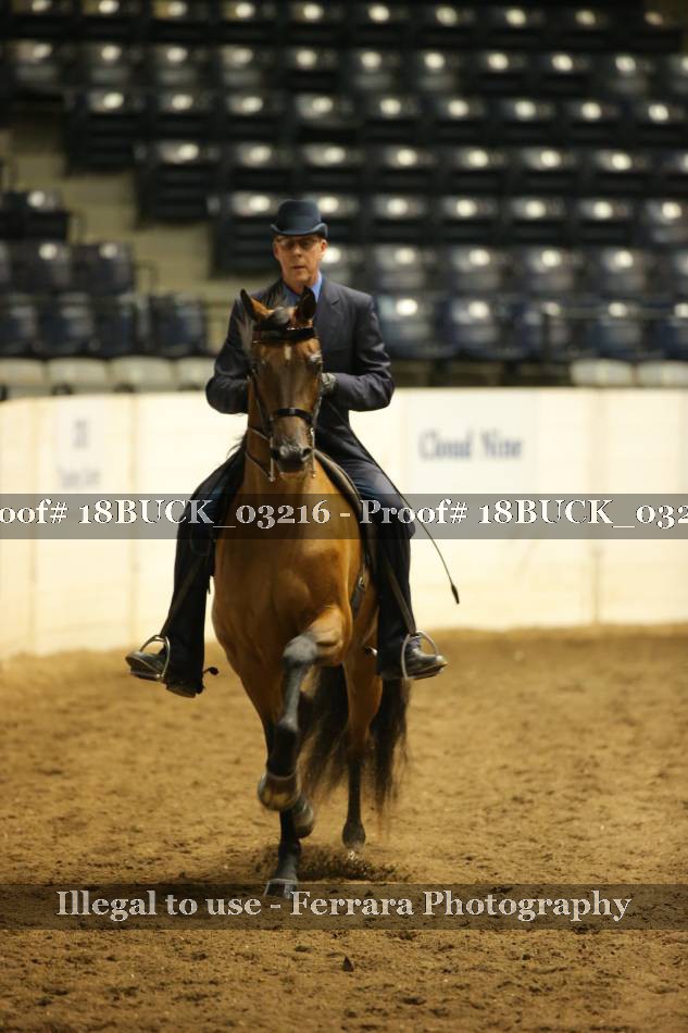 Proof 18BUCK_03216