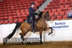 18BUCK_03217 proof