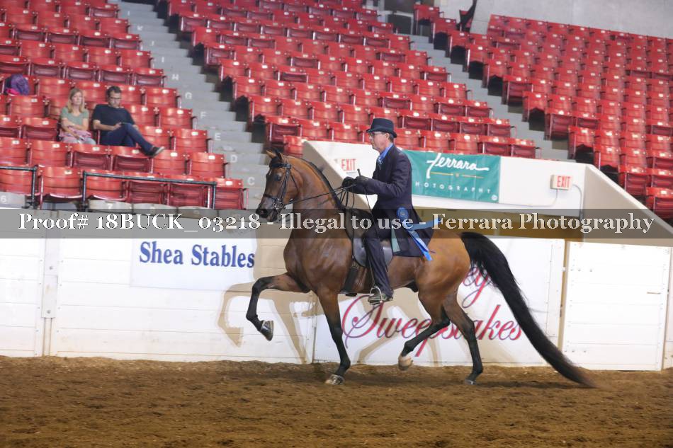 Proof 18BUCK_03218