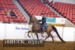 18BUCK_03218 proof