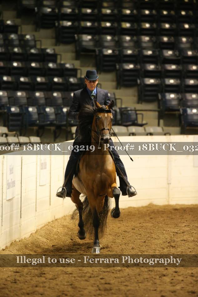 Proof 18BUCK_03219