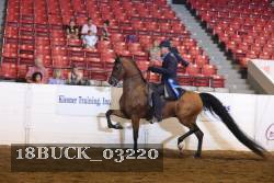 18BUCK_03220 proof