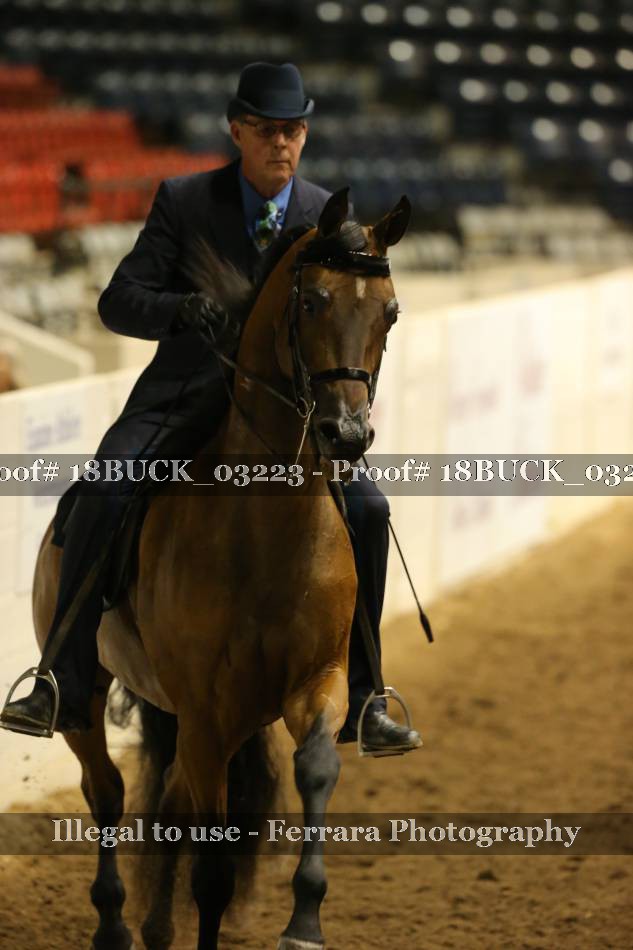 Proof 18BUCK_03223