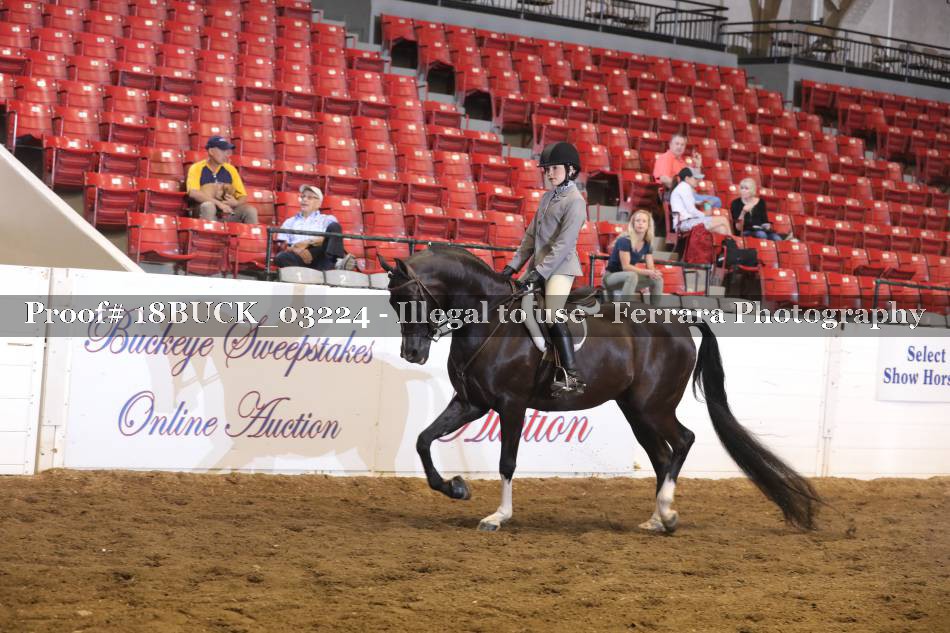 Proof 18BUCK_03224