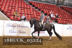 18BUCK_03224 proof