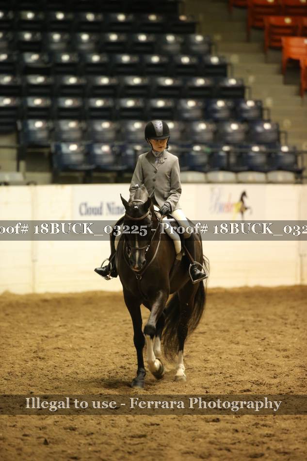 Proof 18BUCK_03225