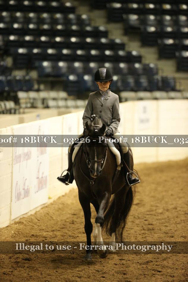 Proof 18BUCK_03226