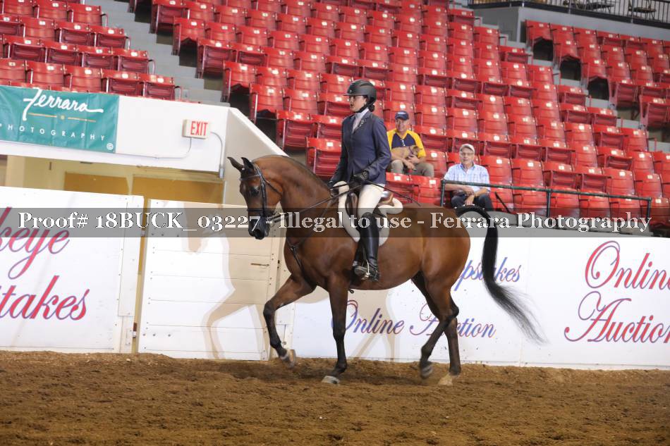 Proof 18BUCK_03227
