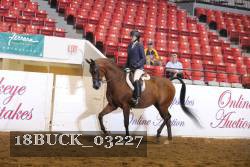 18BUCK_03227 proof