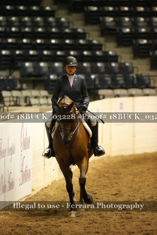 Proof 18BUCK_03228
