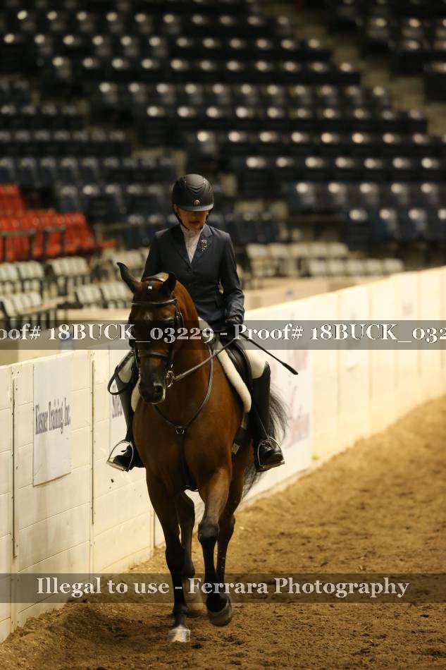 Proof 18BUCK_03229