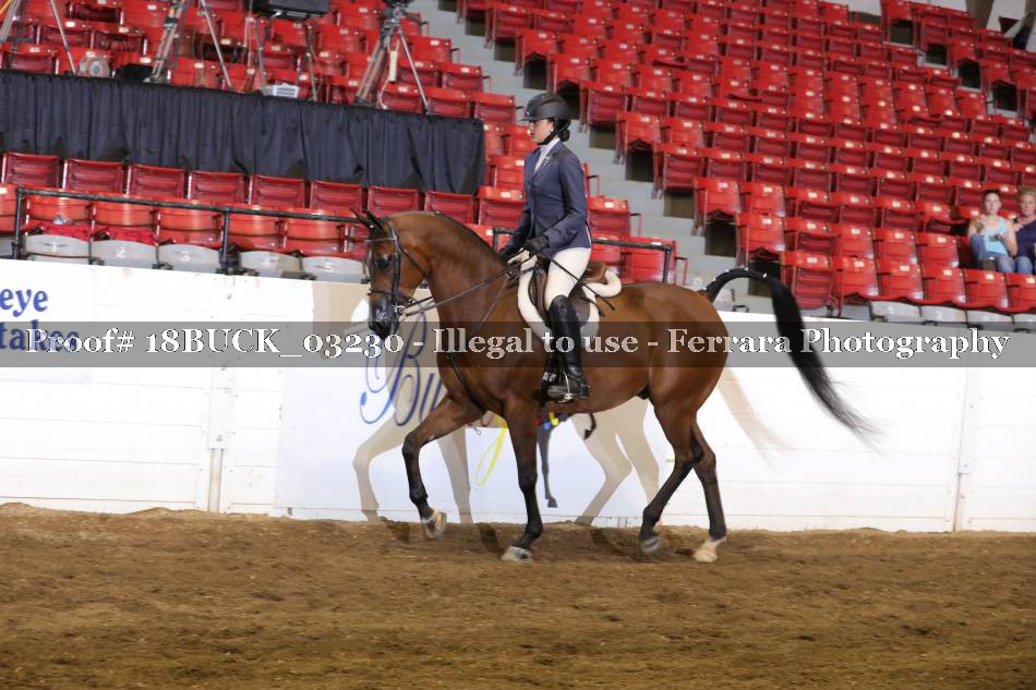 Proof 18BUCK_03230