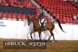 18BUCK_03230 proof