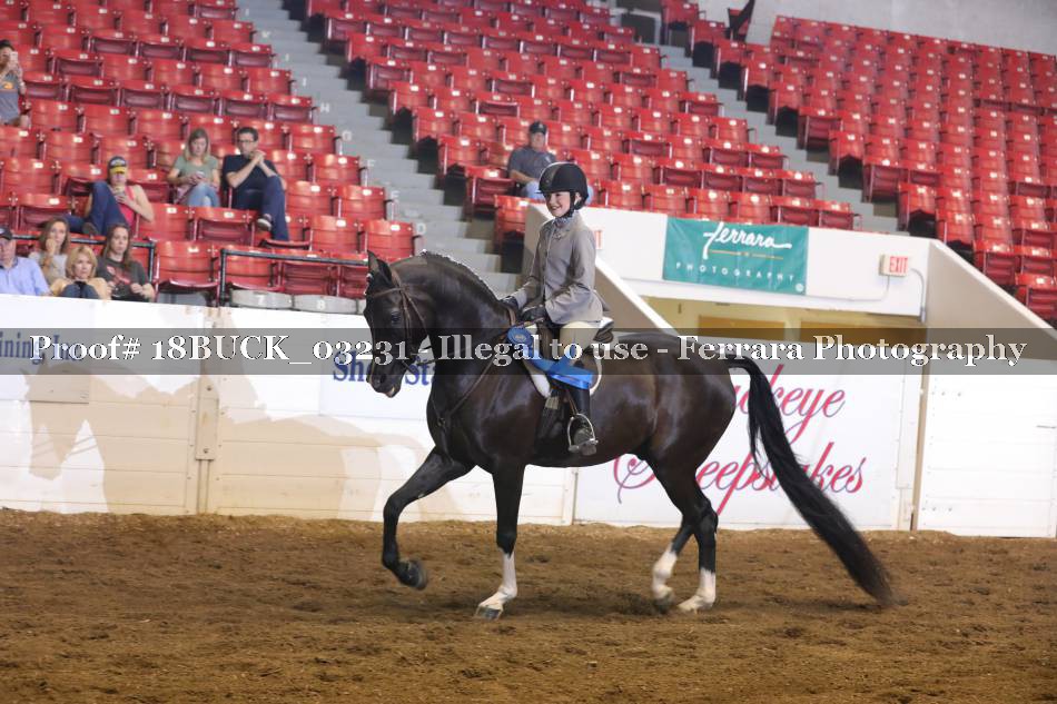 Proof 18BUCK_03231