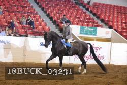 18BUCK_03231 proof