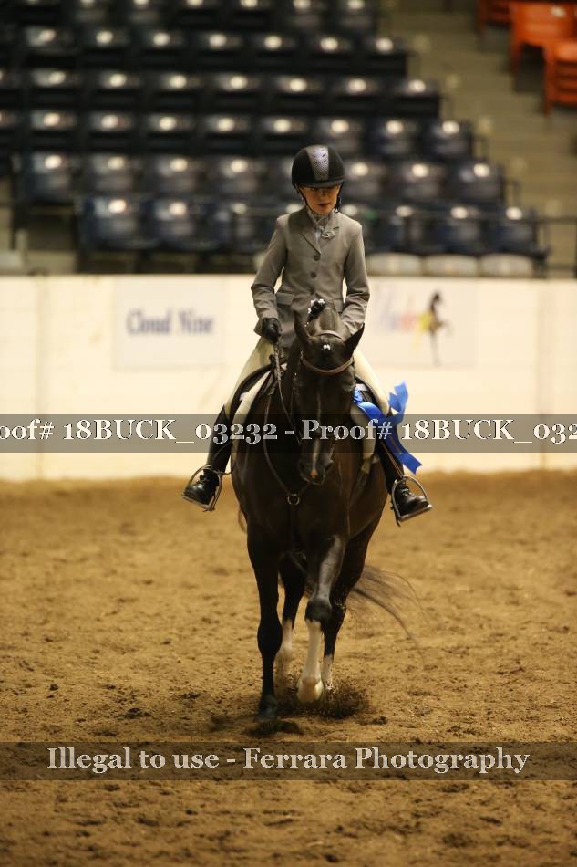 Proof 18BUCK_03232