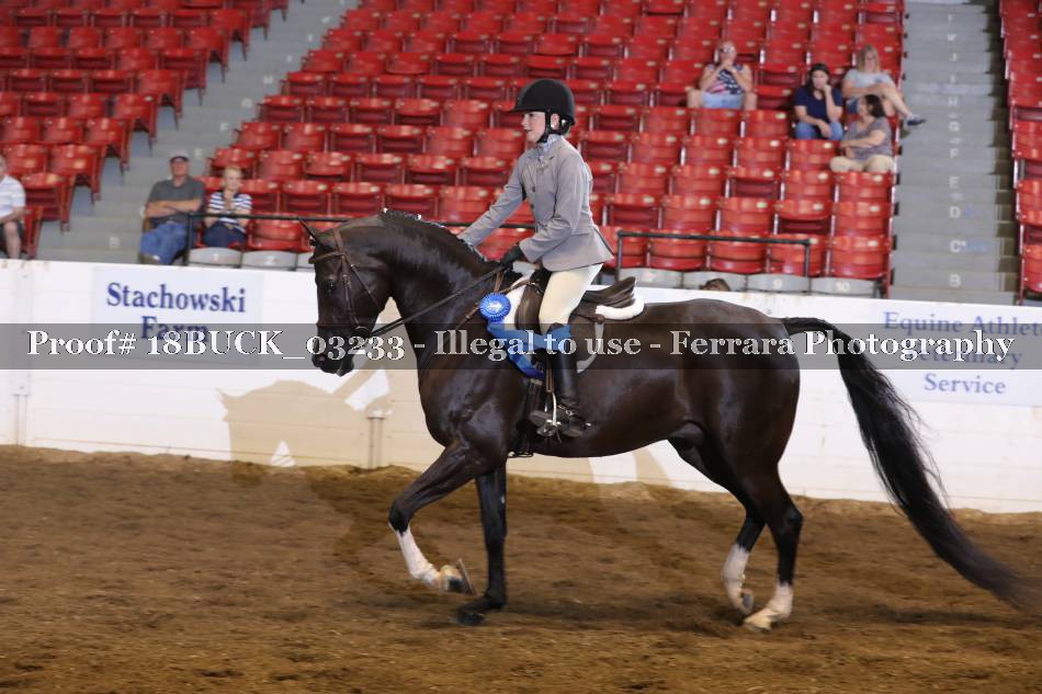 Proof 18BUCK_03233
