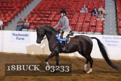 18BUCK_03233 proof