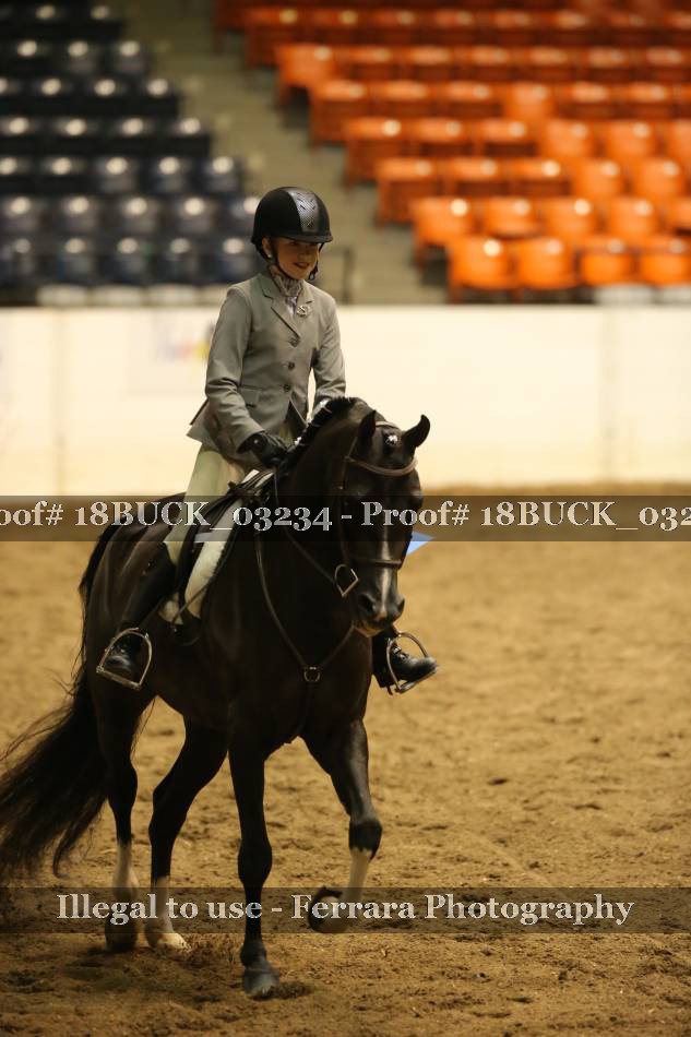 Proof 18BUCK_03234