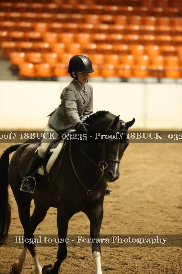 Proof 18BUCK_03235