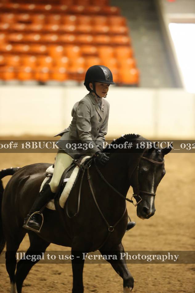 Proof 18BUCK_03236
