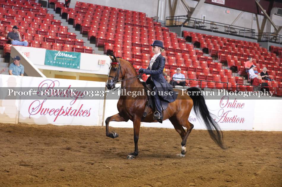 Proof 18BUCK_03237