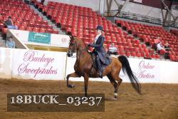 18BUCK_03237 proof