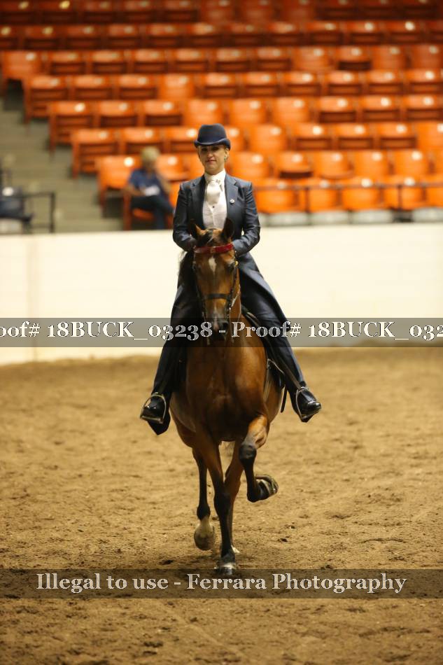 Proof 18BUCK_03238