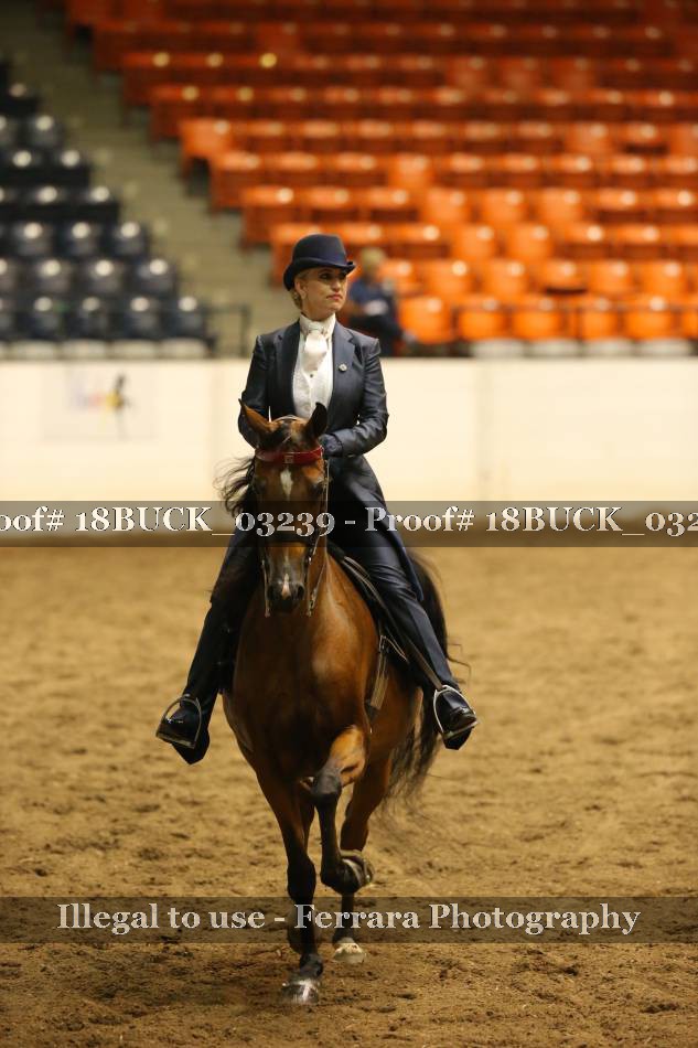 Proof 18BUCK_03239