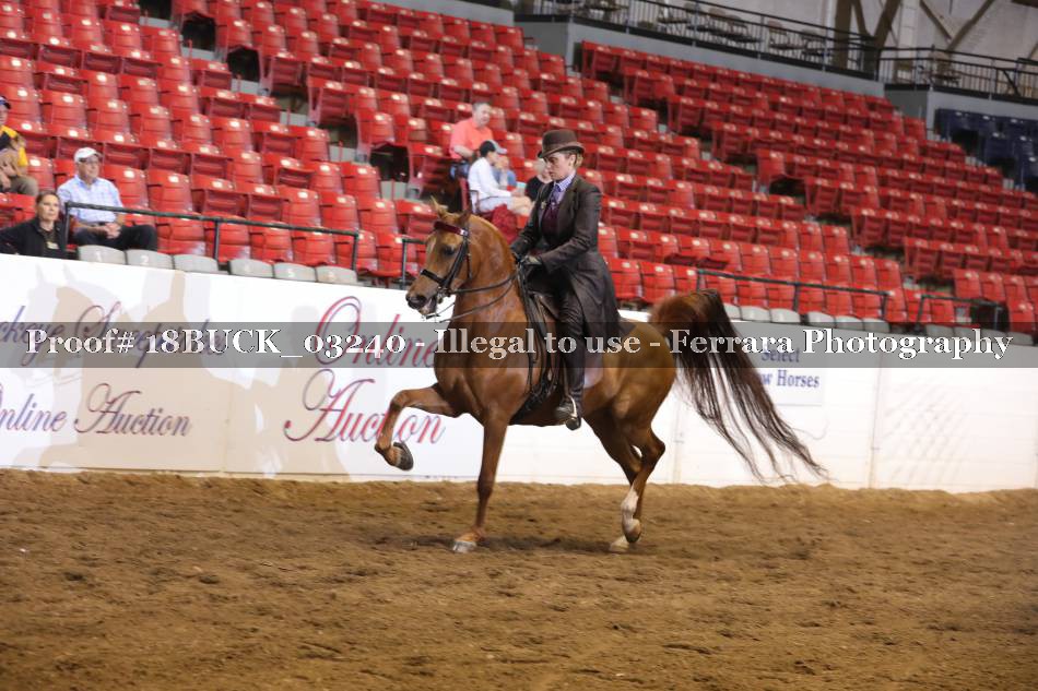 Proof 18BUCK_03240