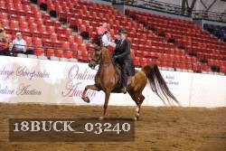 18BUCK_03240 proof