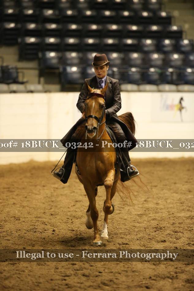 Proof 18BUCK_03242