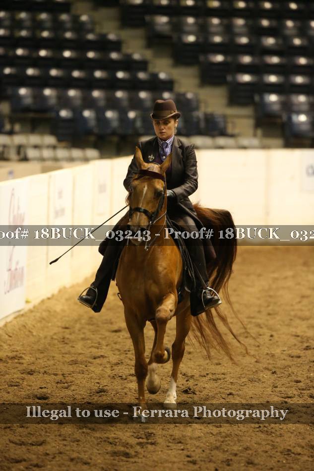 Proof 18BUCK_03243