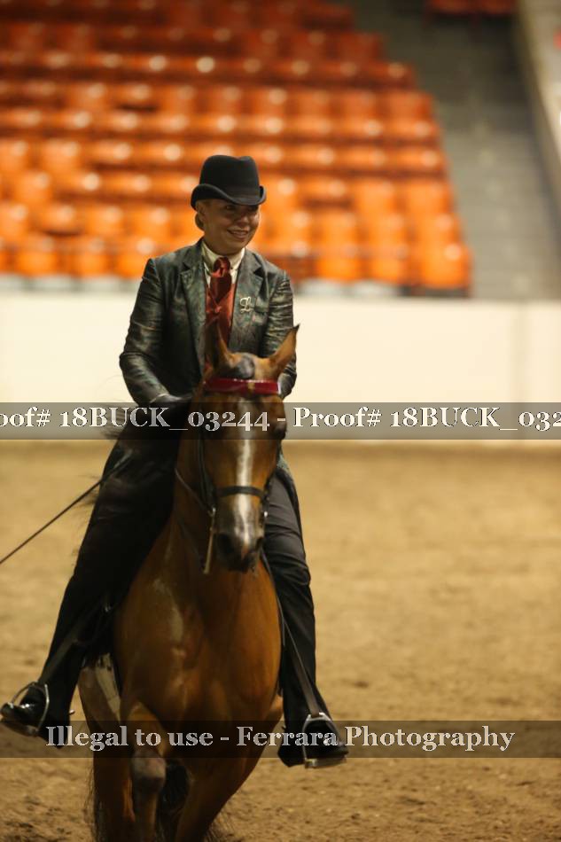 Proof 18BUCK_03244