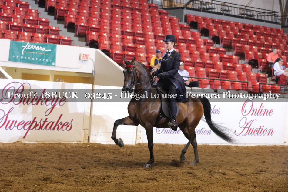 Proof 18BUCK_03245