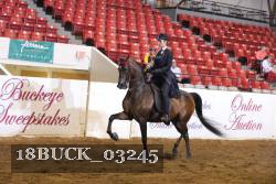 18BUCK_03245 proof