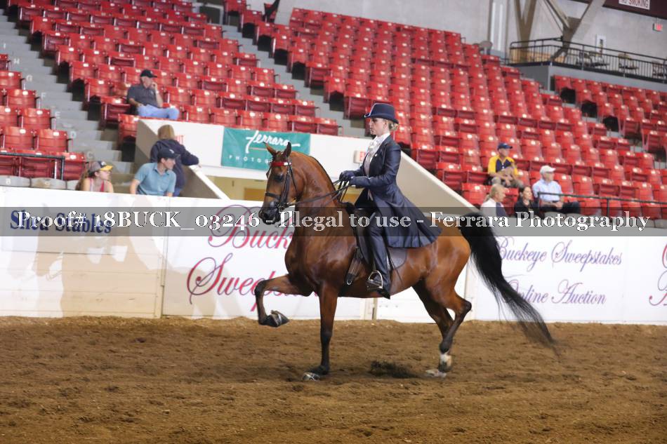 Proof 18BUCK_03246