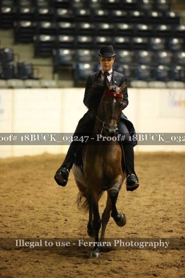Proof 18BUCK_03247