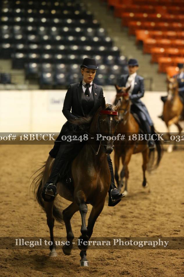 Proof 18BUCK_03248