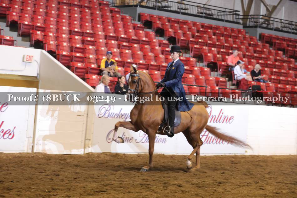 Proof 18BUCK_03249